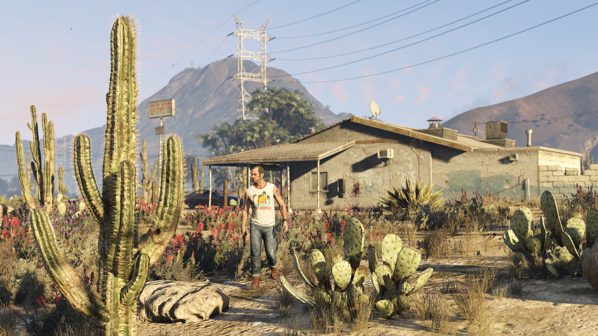 screenshot of Grand Theft Auto V 74