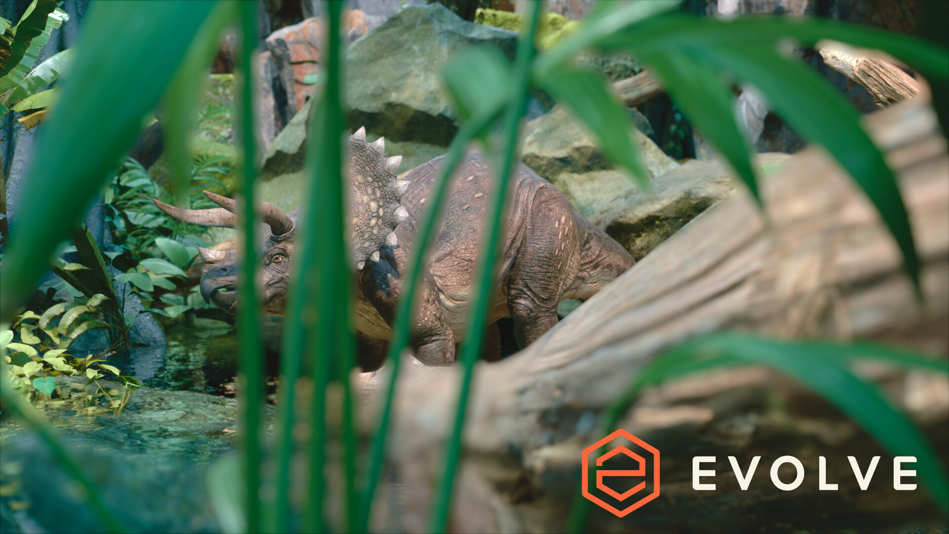 Evolve Benchmark screenshot #6