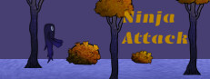 Ninja Attack