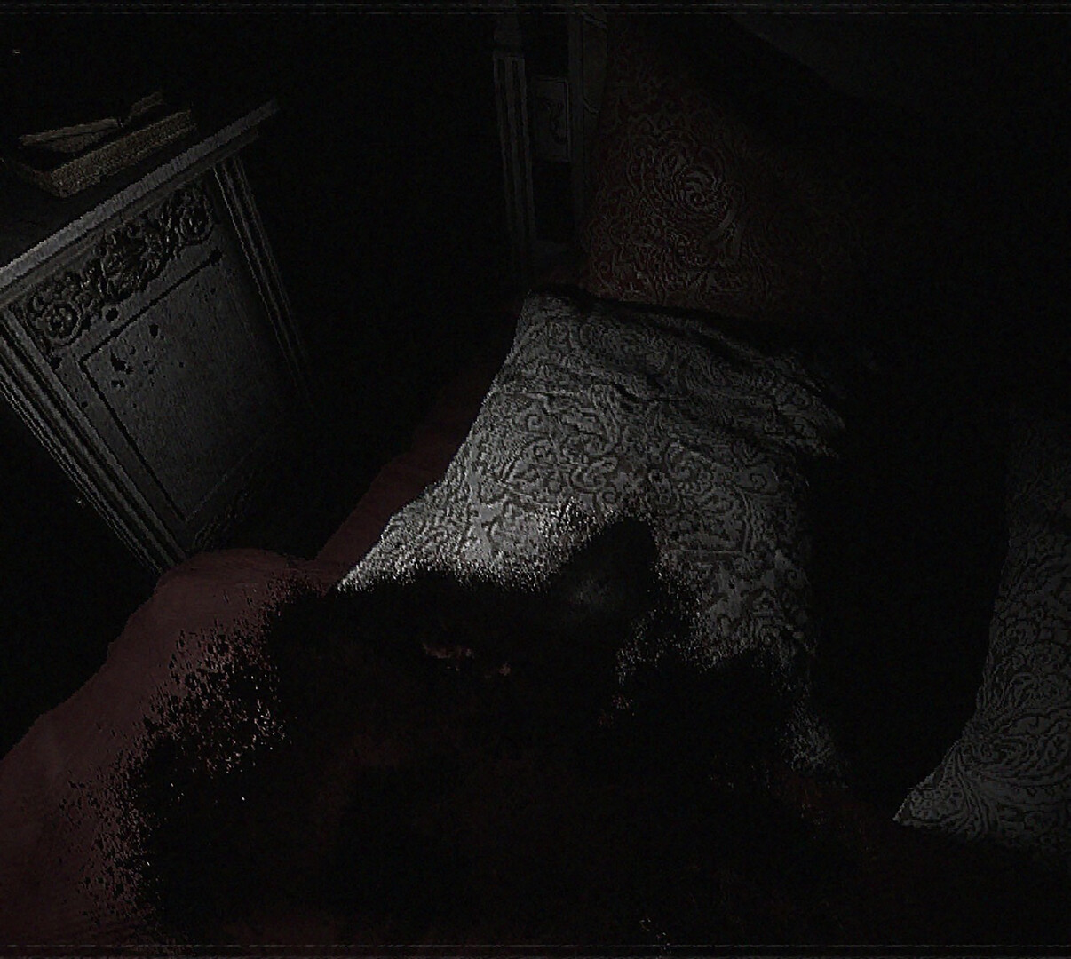 Who am I: Remedy screenshot #7