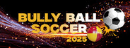 Bully Ball Soccer