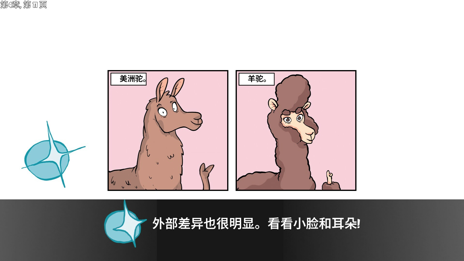 羊驼想知道为什么