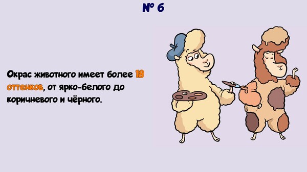 Screenshot z Alpaca Wonders Why Screenshot z Alpaca Wonders Why