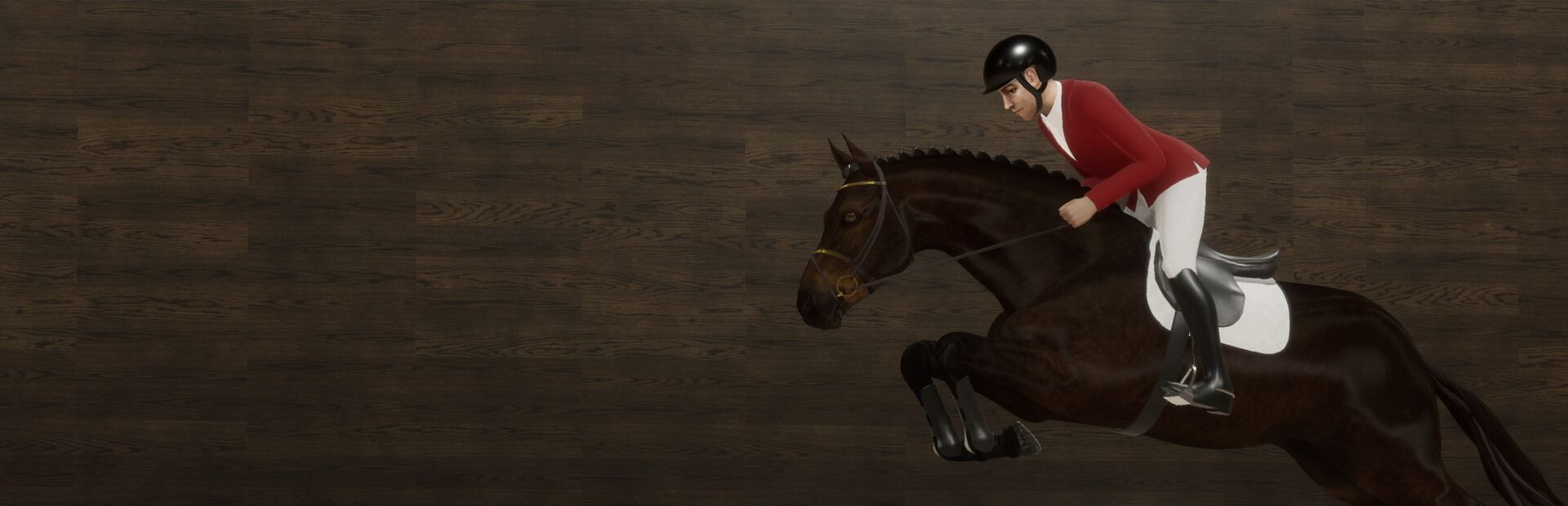 Pro Show Jumping