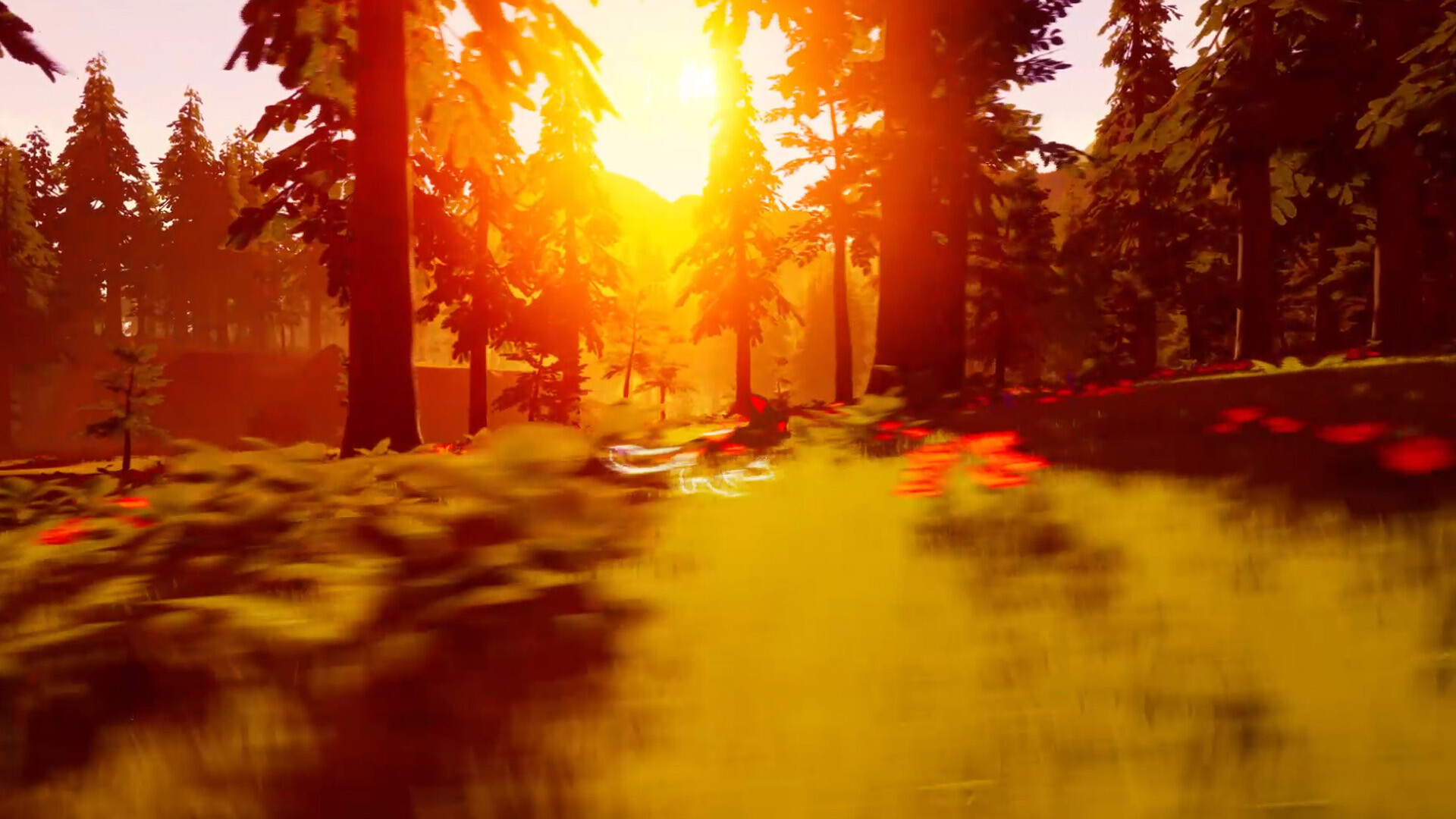 Paws Trail screenshot 2