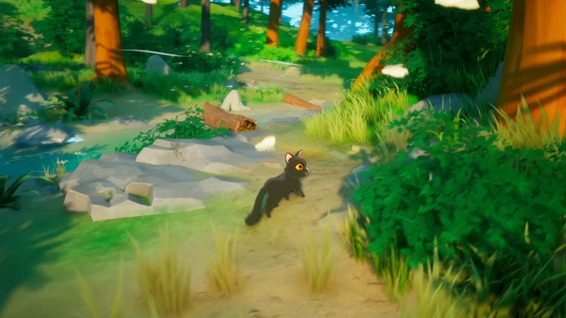 Paws Trail Featured Screenshot #1