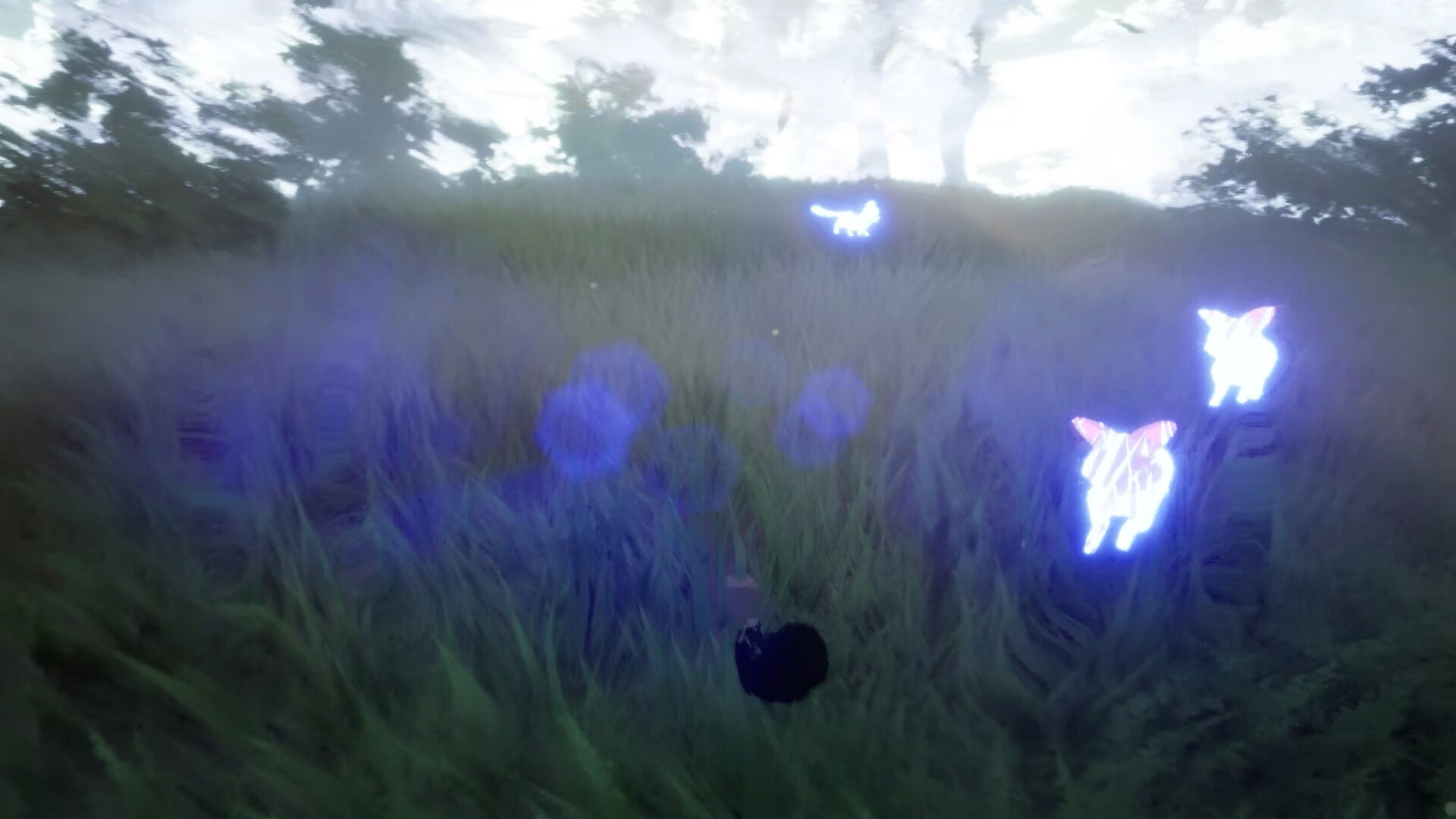 Paws Trail screenshot 4