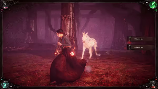 Pumpkin Woods video 2