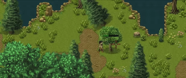 Incursion2D video 12