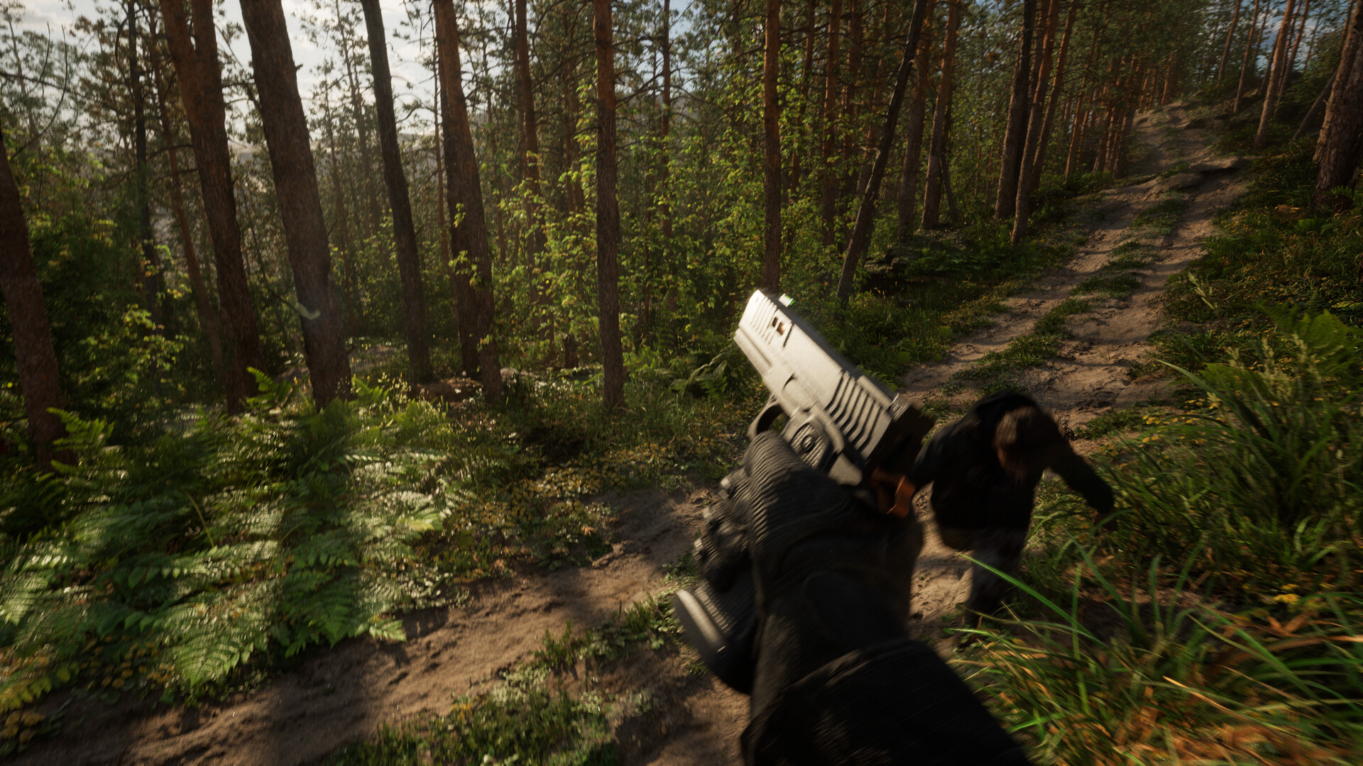 DECAYED screenshot 5