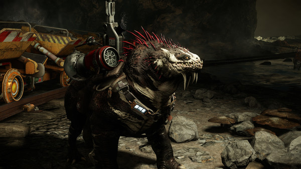 Evolve Stage 2