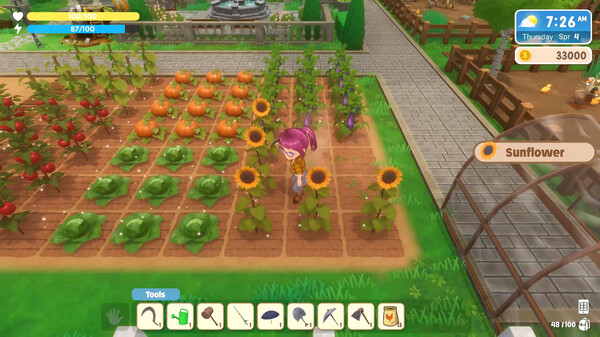 Screenshot 34