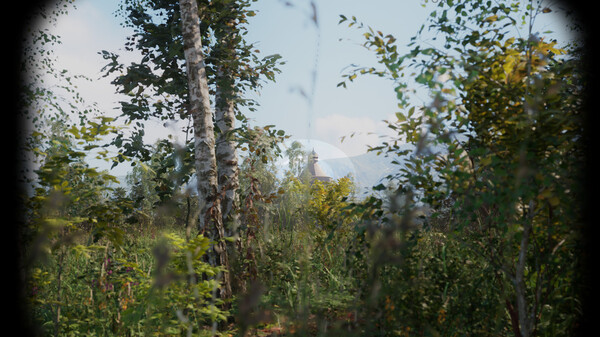 Thumbnail 13