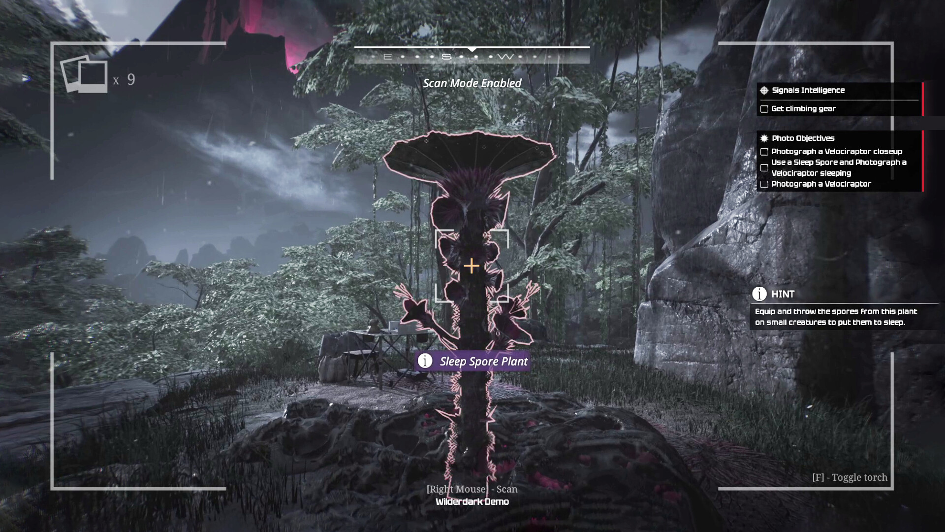 Wilderdark