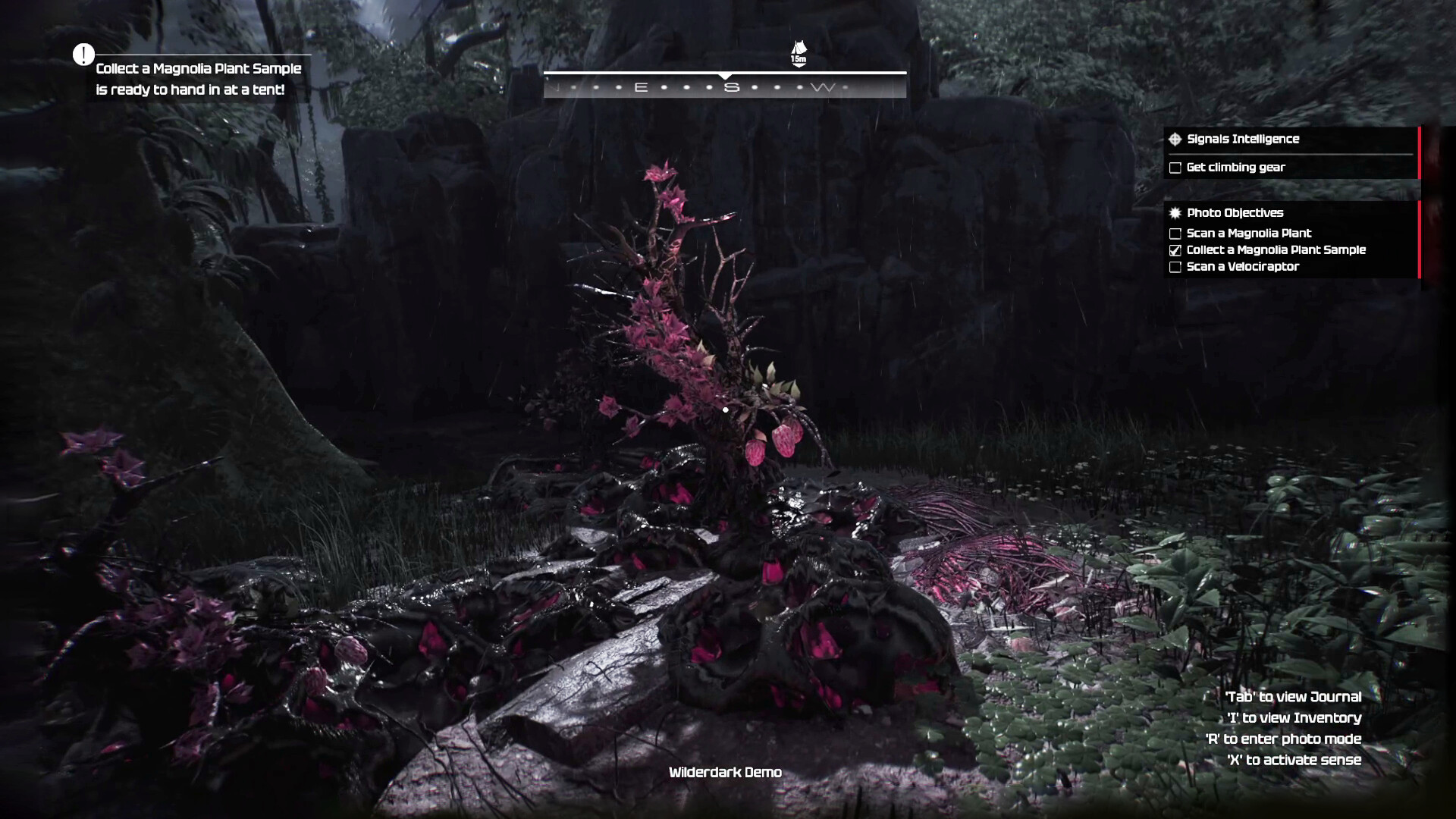 Wilderdark