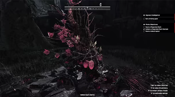 Wilderdark video 3