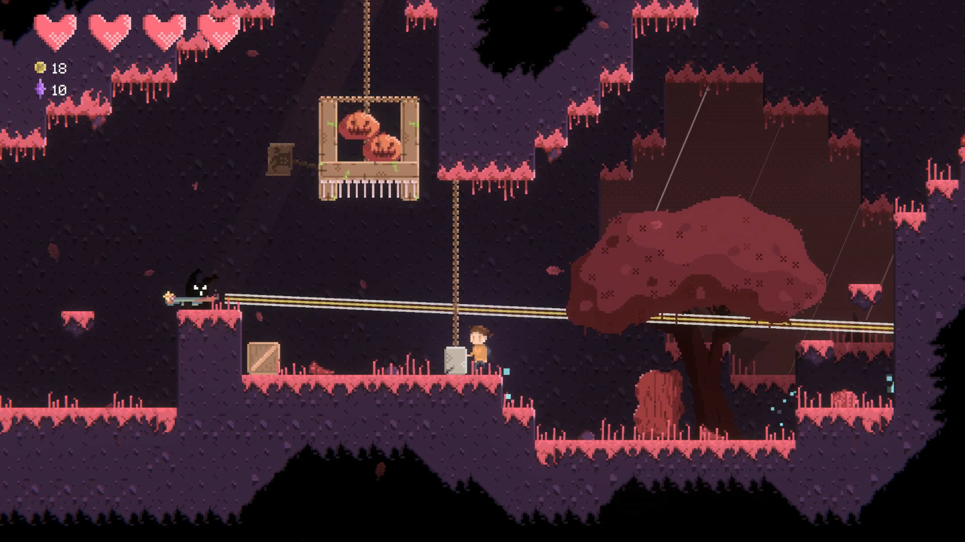 Meowphoria screenshot #8