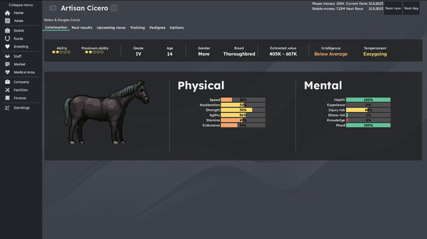 Horse Racing Manager