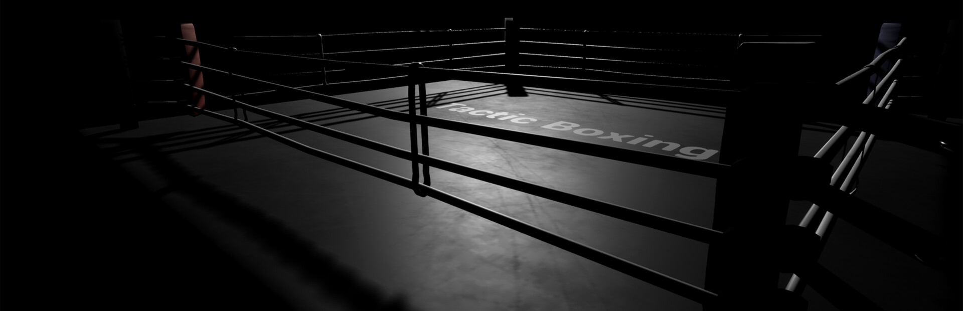 Tactic Boxing