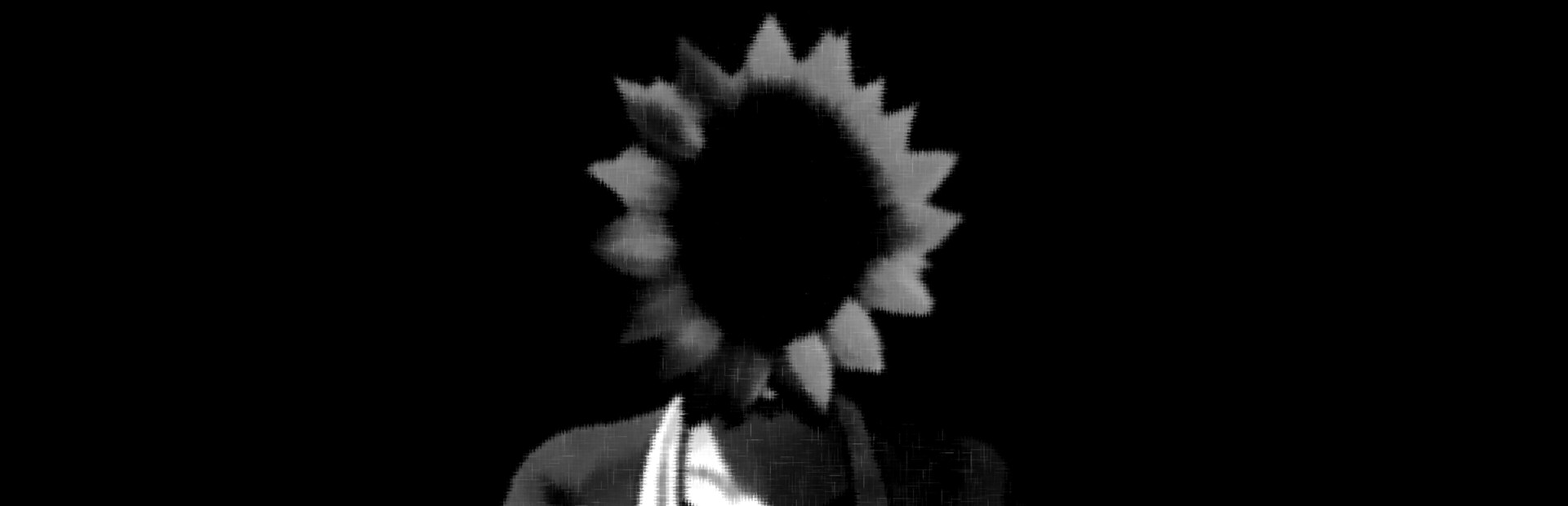 Sunflower Pie