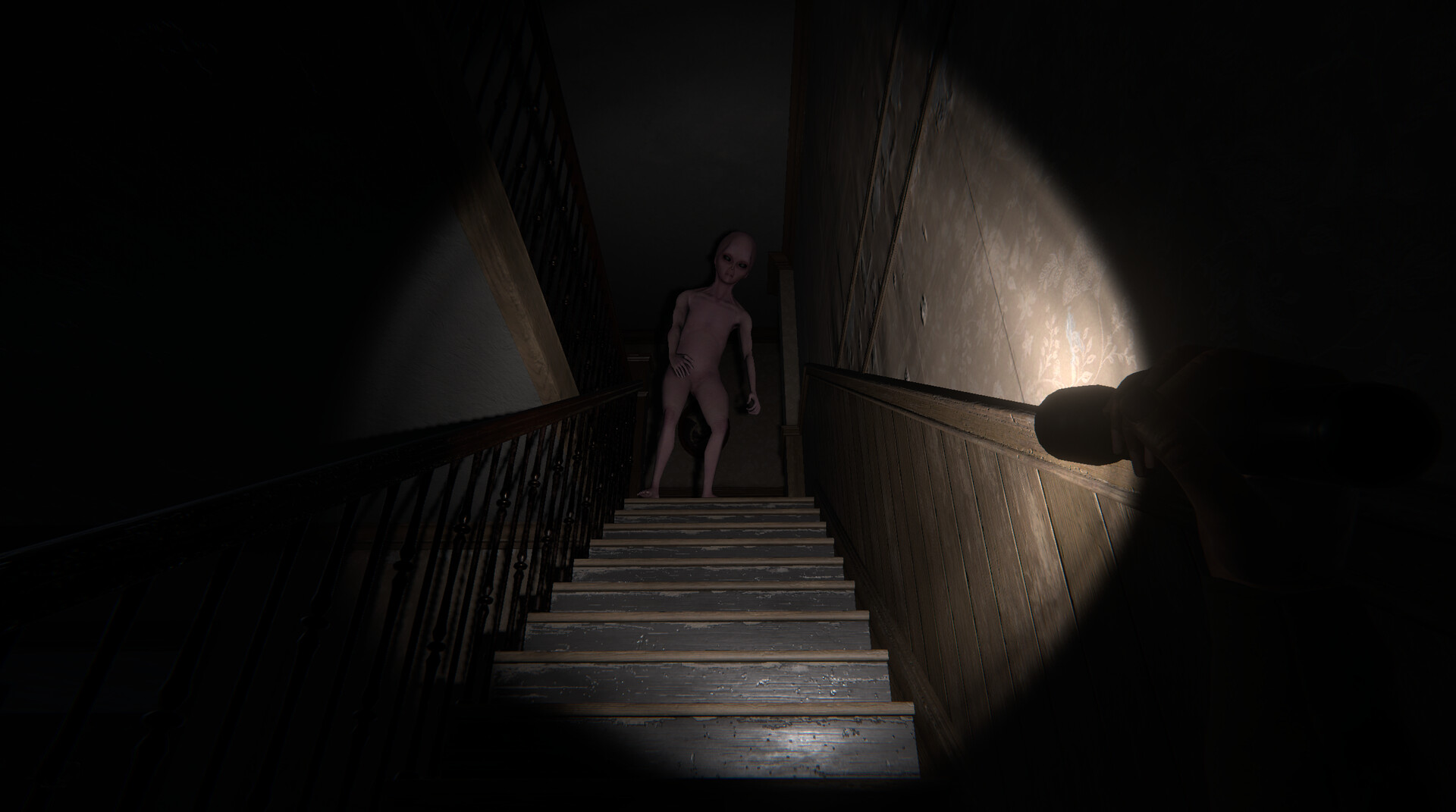 The Echo Paradox Featured Screenshot #1