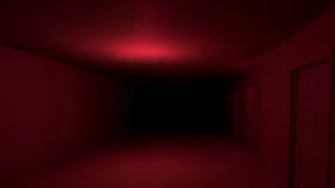 The Echo Paradox video 3