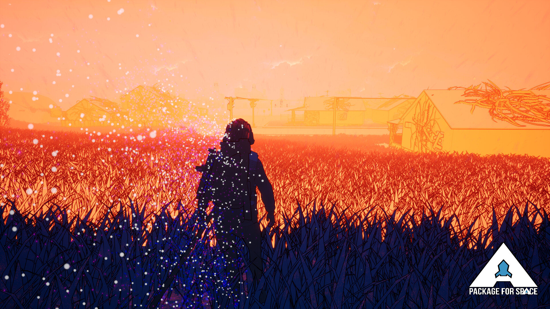 A Package For Space screenshot #1