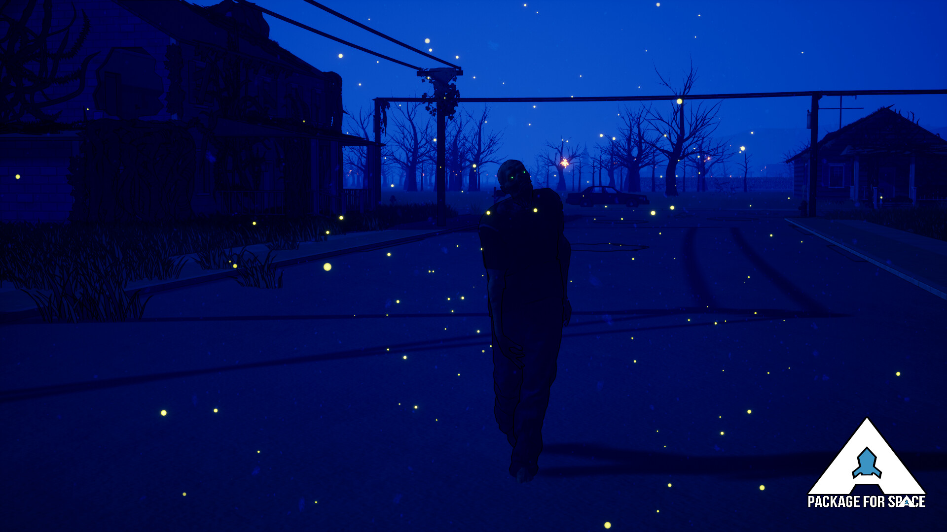 A Package For Space screenshot #2