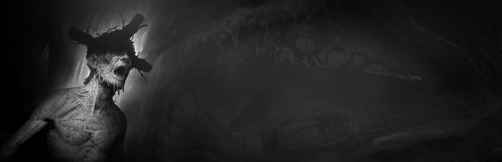 《阴暗森林(Darkwood)》1.4