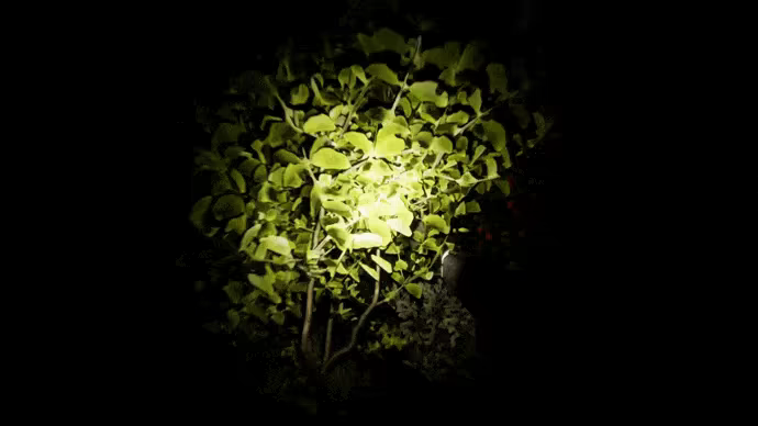 Night City video 1