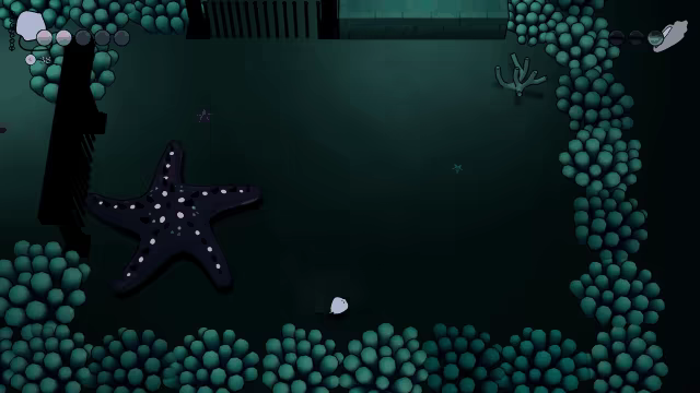 Mobula video 5