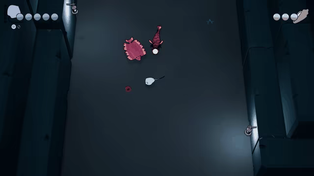 Mobula video 2