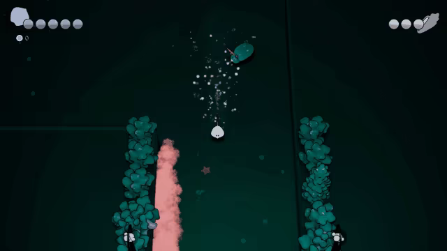 Mobula video 4