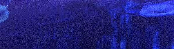 Depth video 3