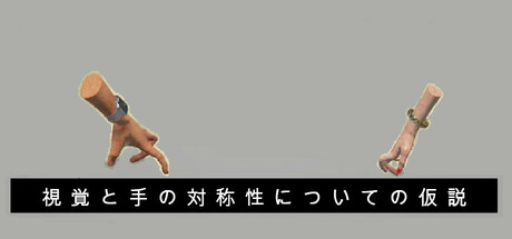視覚と手の対称性についての仮説