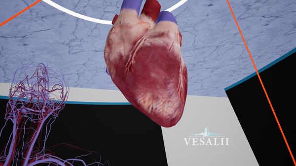 Vesalii Anatomy VR Student screenshot 2