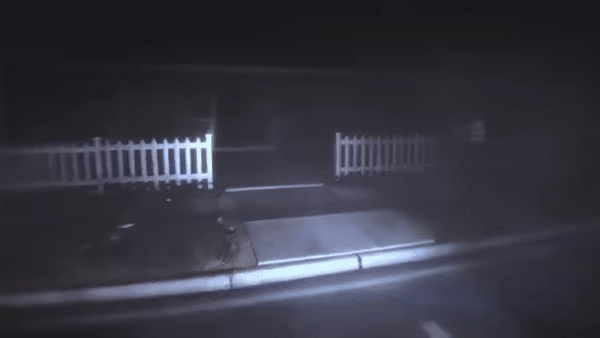 Whispering Lane: Horror video 2