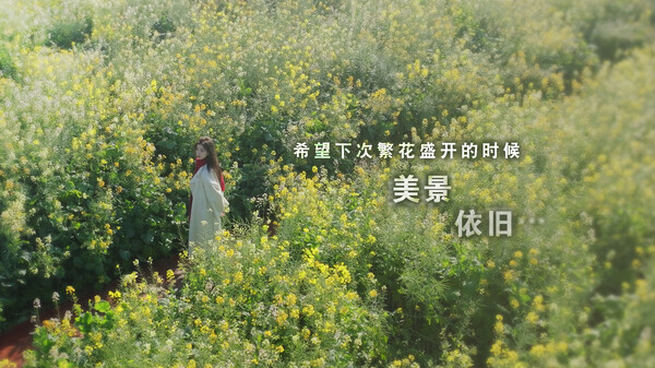 第 1 张，共 9 张