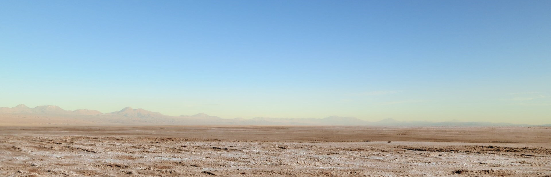 Prospector