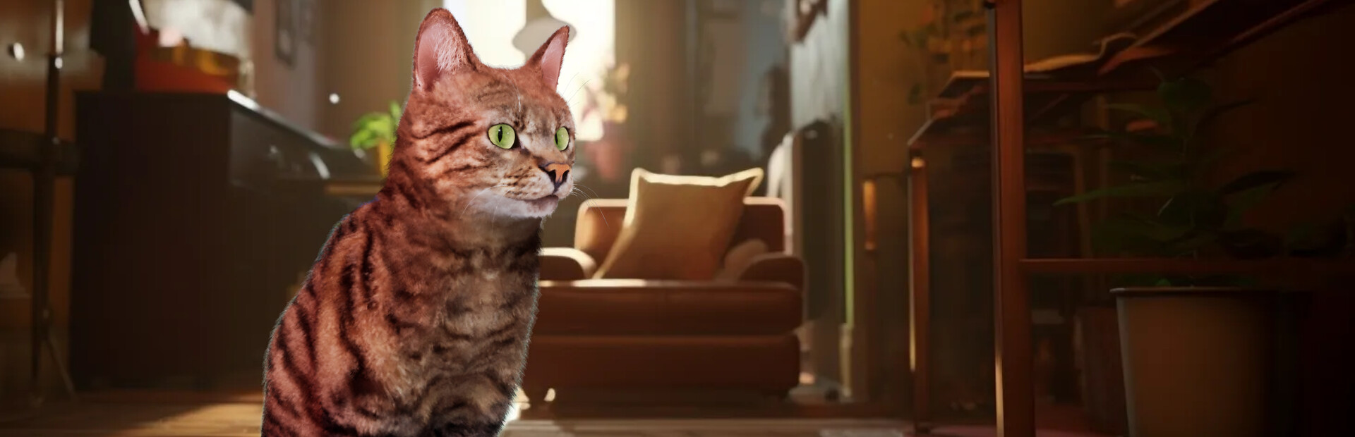 Cat Simulator - Kitty Conundrums
