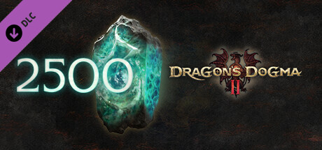 Dragon's Dogma 2 이계 교류 포인트 '2500림' (A)