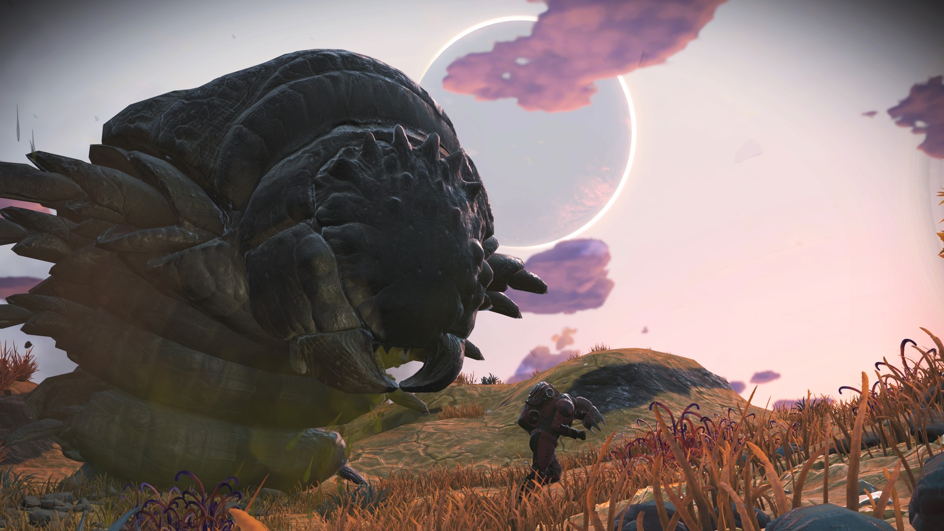 Screenshot 115