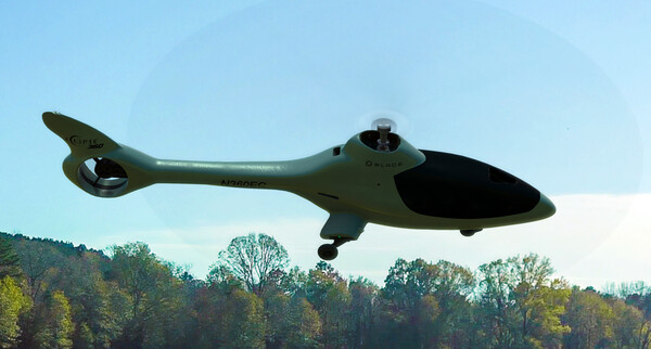 RealFlight Evolution - Blade Eclipse 360