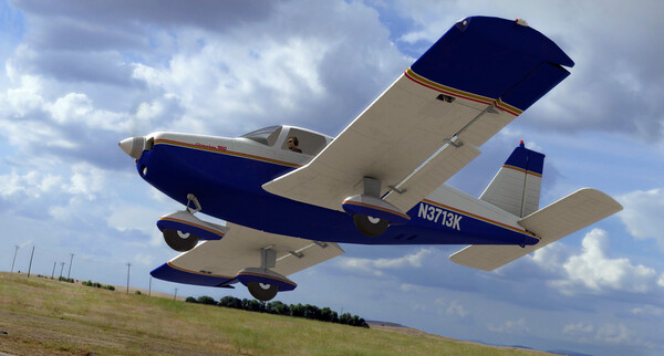 RealFlight Evolution - E-flite Cherokee 1.3m