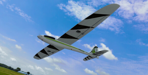 RealFlight Evolution - E-flite UMX Conscendo