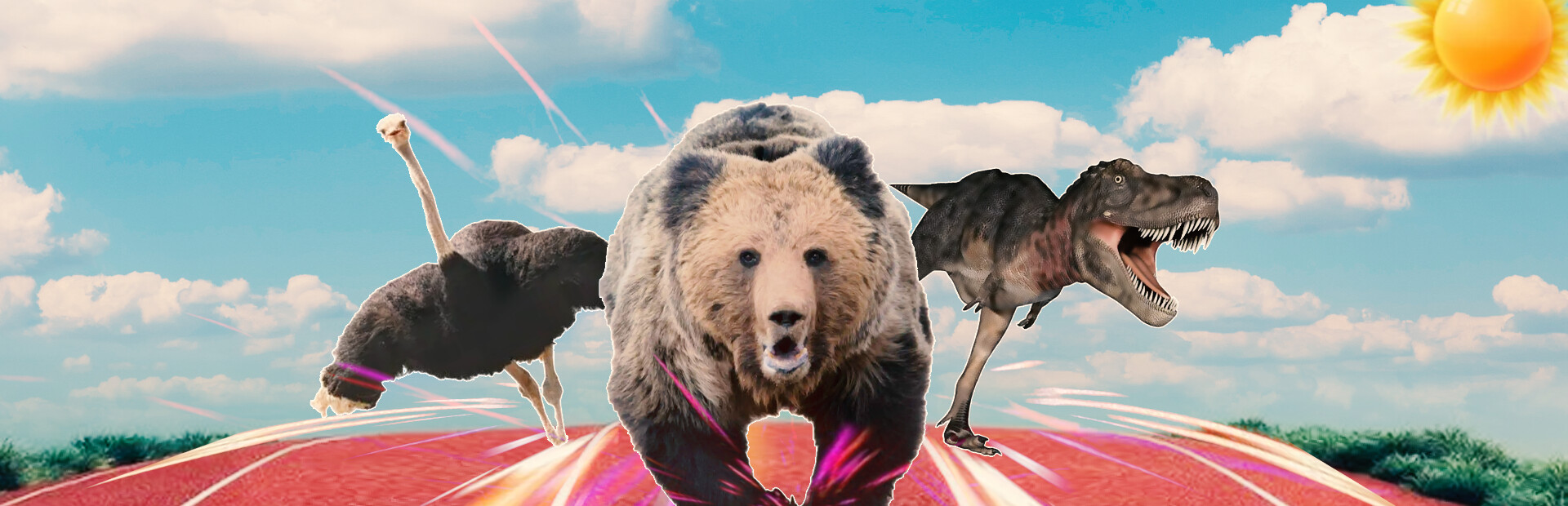 Animal Race Run VR