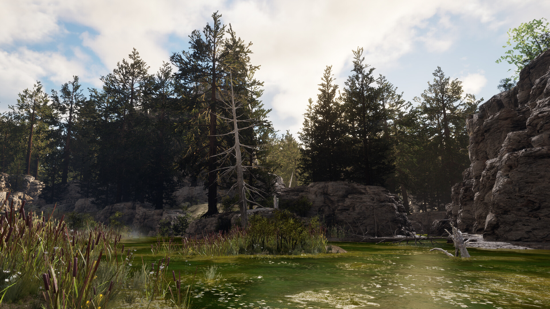 Pure Hearts screenshot #5