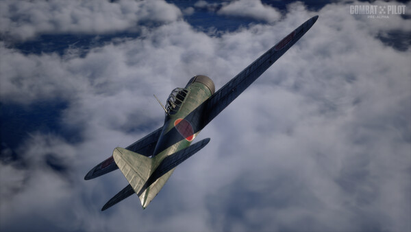 COMBAT PILOT