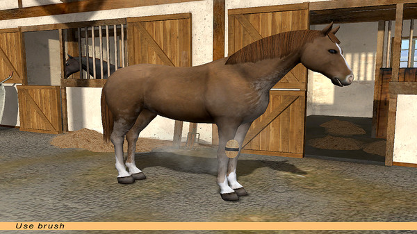 Screenshot z Riding Star