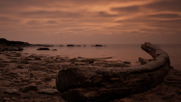 My Pretty Closet screenshot 6